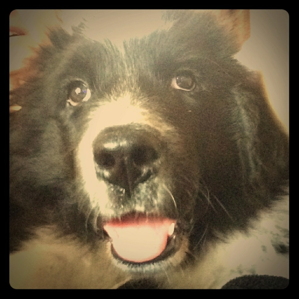 Meet your Posher, Aj